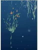 Edmond Petit Carta da parati Nautilus/Méduses/Nénuphars - Marine - Nénuphars droit - Marine