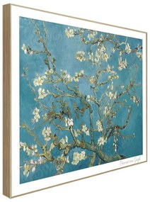 Quadro 40x50 cm Van Gogh: Almond Blossoms