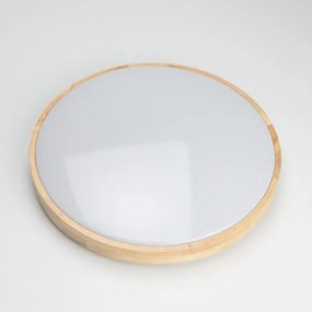 Brilagi - Plafoniera LED dimmerabile PINE LED/24W/230V + telecomando