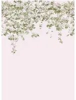 Sian Zeng Carta da parati panoramica Clematis - Pink