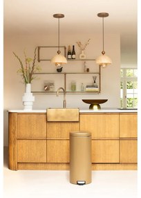 Cestino per la spazzatura color ottone in acciaio con pedale 30 l NewIcon – Brabantia