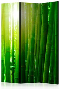 Paravento design Sun and bamboo [Room Dividers]