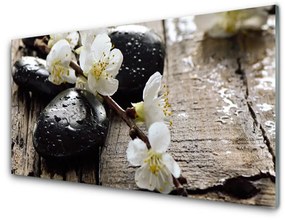 Pannello paraschizzi cucina Fiori di ramoscello di frutta 100x50 cm