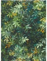 Clarke & Clarke Carta da parati Congo - Forest