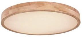 Globo 41745-48 - Plafoniera LED dimmerabile RAINER LED/48W/230V + +TC