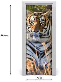Adesivo per porta Tigre 75x205 cm