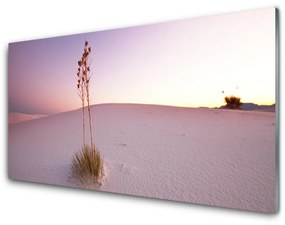 Quadro in vetro acrilico Paesaggio di sabbia del deserto 100x50 cm