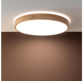 Brilliant - Plafoniera dimmerabile a LED SLIMLINE LED/60W/230V + telecomando