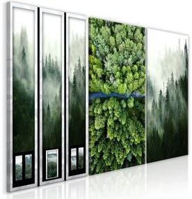 Quadro Forest (Collection)