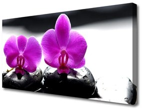 Quadro su tela Fiori di orchidea della natura 100x50 cm