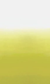 Wandbild Saraille von Designers Guild - Acacia