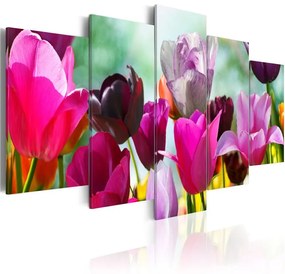 Quadro Rosa allegro  Colore Viola, Dimensioni e Misure 100x50