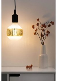 Lampadina LED dimmerabile CLASSIC G125 E27/4,5W/230V 2500K - Paulmann 28770