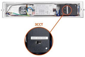 Applique Bidirezionale Bianca 12W CCT, IP65 da esterno - Serie FILO Colore Bianco Variabile CCT
