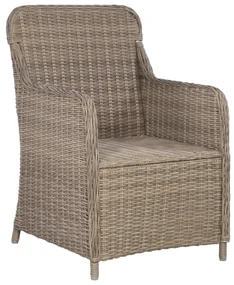 Set da pranzo da giardino 9 pz in polyrattan marrone