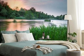 Carta da parati – Alba sul fiume