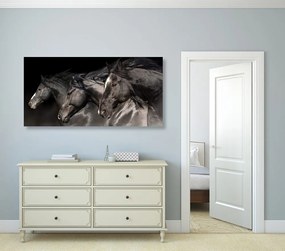 Quadro su tela – Tre cavalli al galoppo