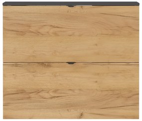 Scarpiera color antracite/di colore naturale con effetto rovere con ante ribaltabili/da parete 100x85x19 cm Renell – Germania