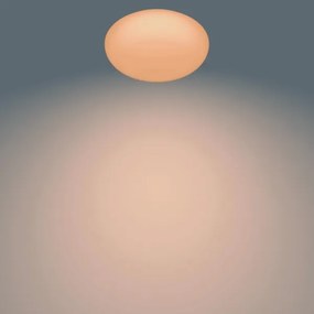 Philips - Plafoniera LED dimmerabile TOBA 1xLED/23W/230V + T