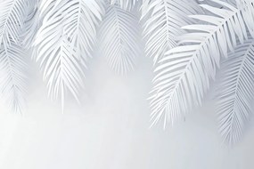 Carta da parati – Foglie di palma secche grigie