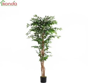 Pianta Ficus Artificiale 180 Cm