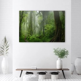 Quadro su tela, Foresta della giungla tropicale  Dimensioni Tappeti 120x80