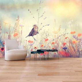 Fotomurale adesivo  Field Bird  Larghezza x Altezza Home decor 147x105