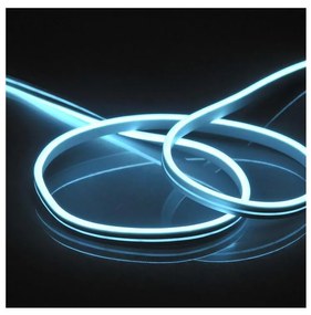 Striscia LED NEON 2 m LED/17W/12V IP65 blu