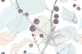 Carta da parati – Bacche di uva spina