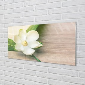Quadro su vetro Magnolia bianca 100x50 cm