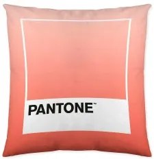 Fodera per cuscino Ombre B Pantone Localization-B086JQB7QD Reversibile (50 x 50 cm)