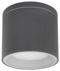 Globo 32063A - Plafoniera da esterno ALCALA 1xGX53/11W/230V IP44