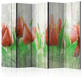 Paravento separè Tulipani rossi su legno II - fiori di tulipano su sfondo di legno