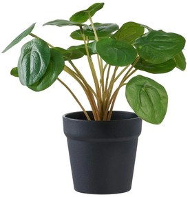 Pianta artificiale (altezza 28 cm) Pelia - House Nordic