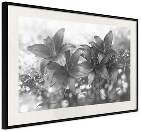 Poster  Dark Lillies  Cornice Quadri Cornice nera con pass-partout, Larghezza x Altezza Home decor 30x20