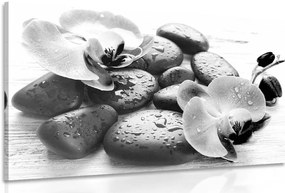 Quadro su tela – Bella armonia di pietre e orchidee in bianco e nero