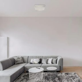 Rabalux - Plafoniera LED LED/24W/230V