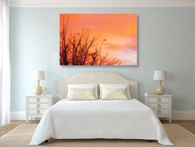 Quadro su tela – Cielo colorato