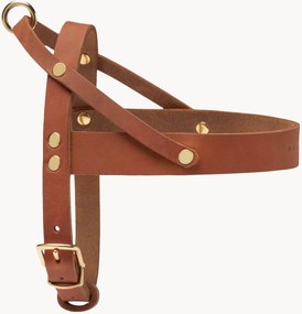 Imbracatura per cani in pelle Classic, varie misure