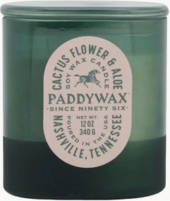 Candela profumata a tre stoppini Vista (fiore di cactus & aloe)