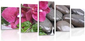 Quadri 5 pezzi – Orchidea fiorita e pietre wellness
