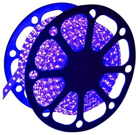 Aigostar - Striscia LED per esterni 50 m LED/300 W/230 V blu IP65