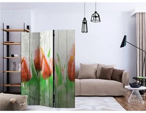 Paravento Red tulips on wood [Room Dividers]