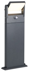 Lampada da esterno da palo grigio scuro con sensore di movimento 60cm IP54 solare - Judge