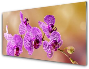 Quadro su vetro Steli di fiori di orchidea Natura 100x50 cm