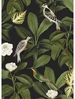 Coordonne Carta da parati Rocio - Azabache