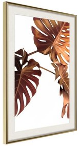 Poster  Copper Monstera  Cornice Quadri Cornice d'oro con passe-partout, Larghezza x Altezza Home decor 20x30