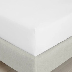Lenzuolo con angoli bianco in percalle di cotone 90x190 cm Cotton Percale – Bianca