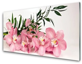 Quadro acrilico Terme di fiori di orchidea 100x50 cm