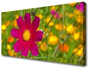 Foto quadro su tela Fiore, pianta, natura 100x50 cm